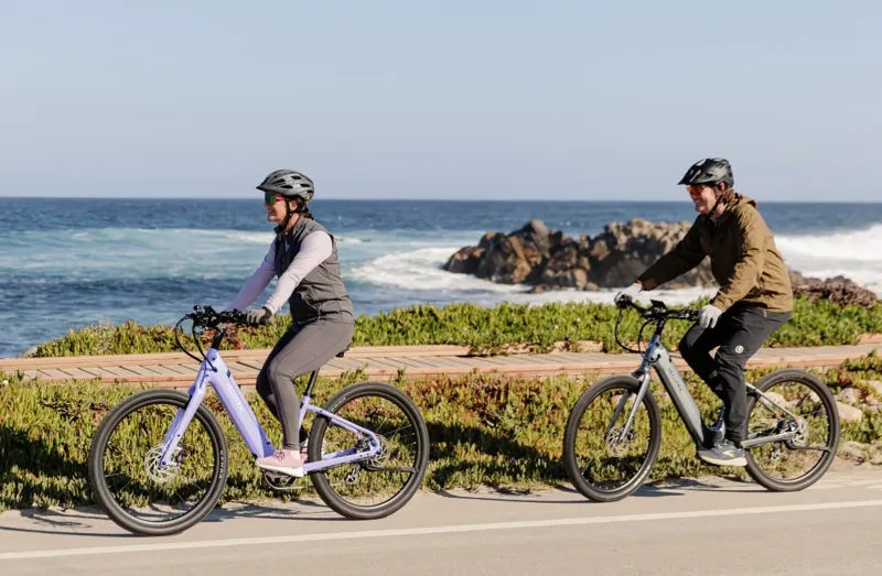 Velotric Breeze Large eCruiser Bike - Slate Gray-7