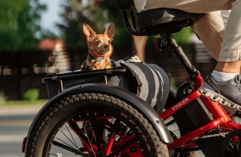 Velotric Triker Electric Tricycle - Cherry Crimson-4